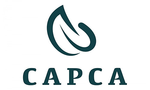 Logo-external-CAPCA-500x300