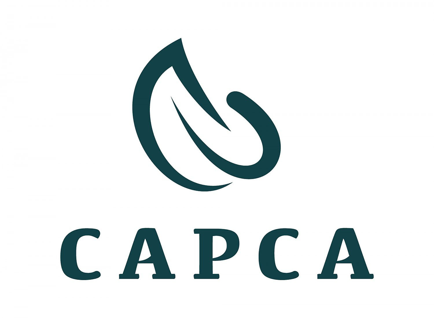 Logo-external-CAPCA