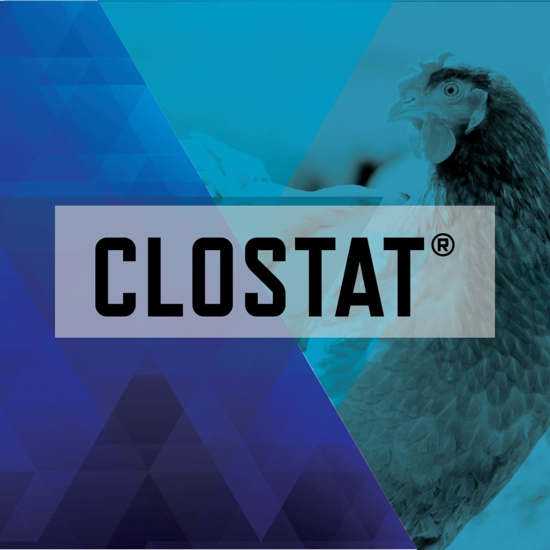 CLOSTAT Thumbnail