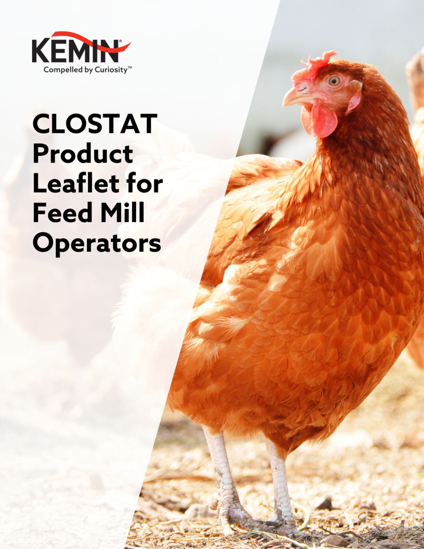 CLOSTAT Leaflet for Feed Mill Operators thumbnail