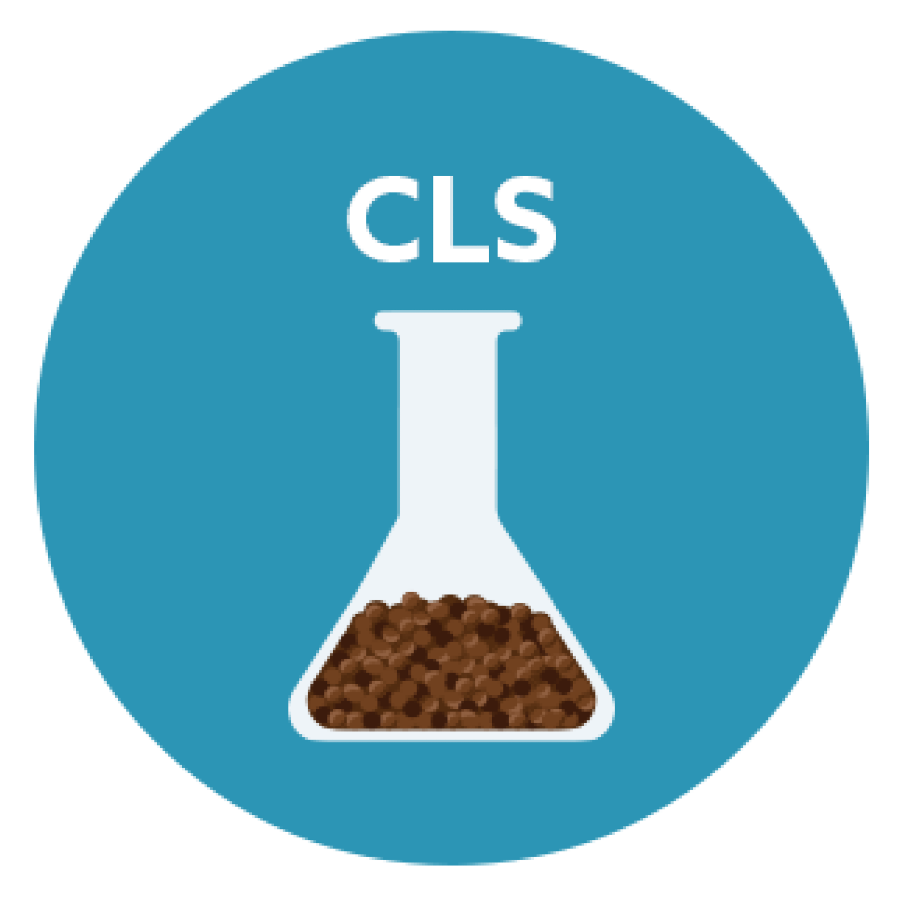 CLS ICON-01-1