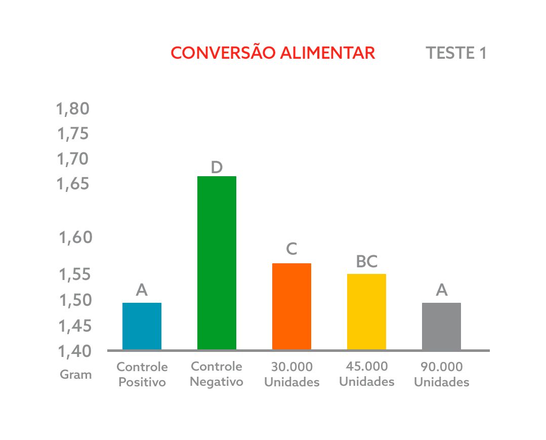 CONVERSÃO ALIMENTAR teste 1.png