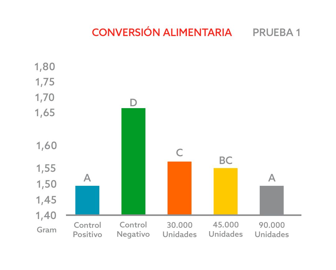 CONVERSÃO ALIMENTAR teste 1 ES.png