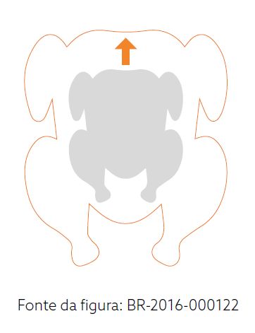 Captura de tela 2024-10-18 091249.png