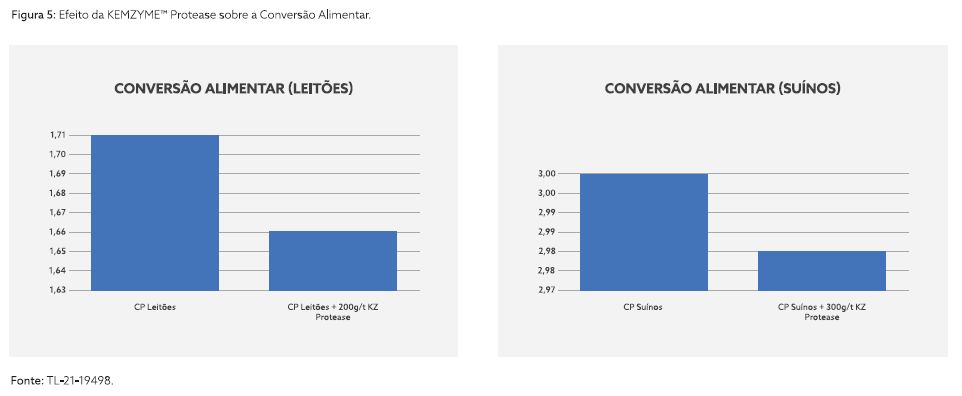 Captura de tela 2024-10-28 101058.png