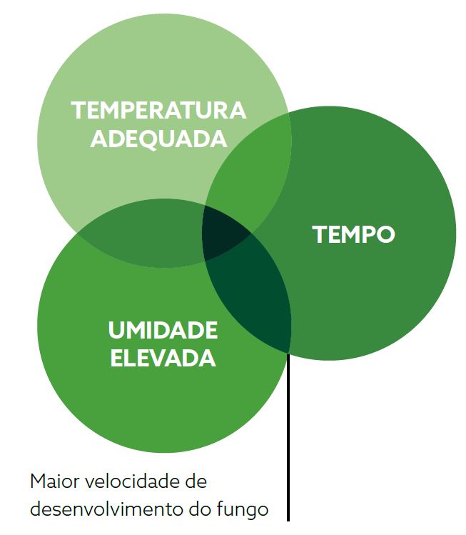 Captura de tela 2024-10-30 084815.png