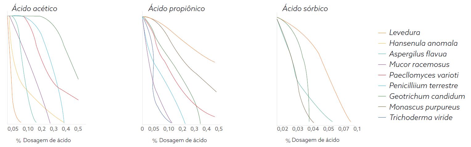 Captura de tela 2024-10-30 084907.png