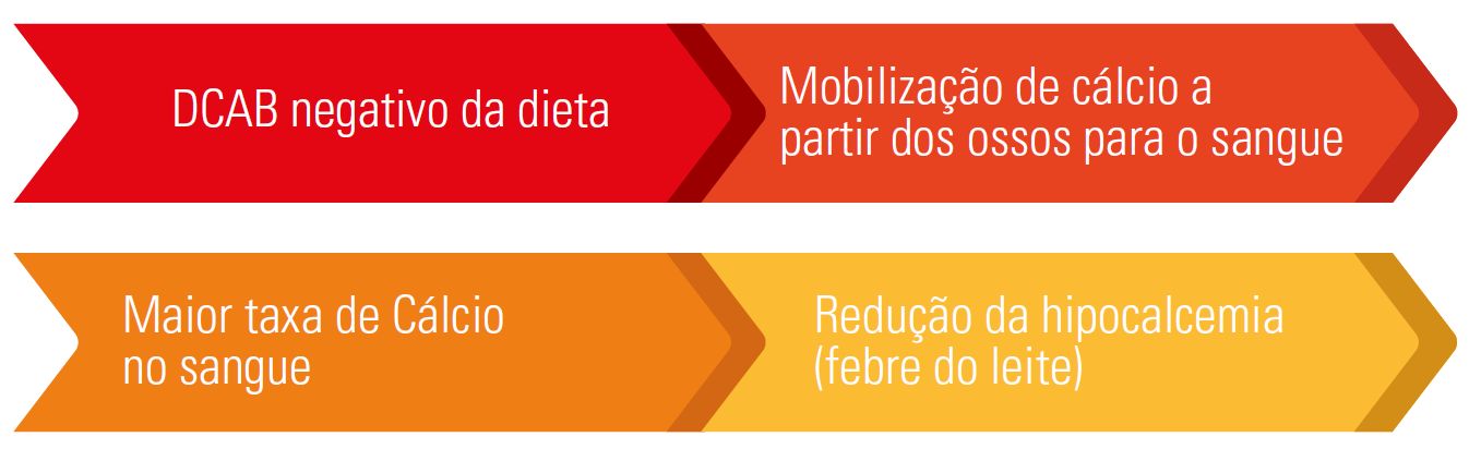 Captura de tela 2024-10-30 093734.png