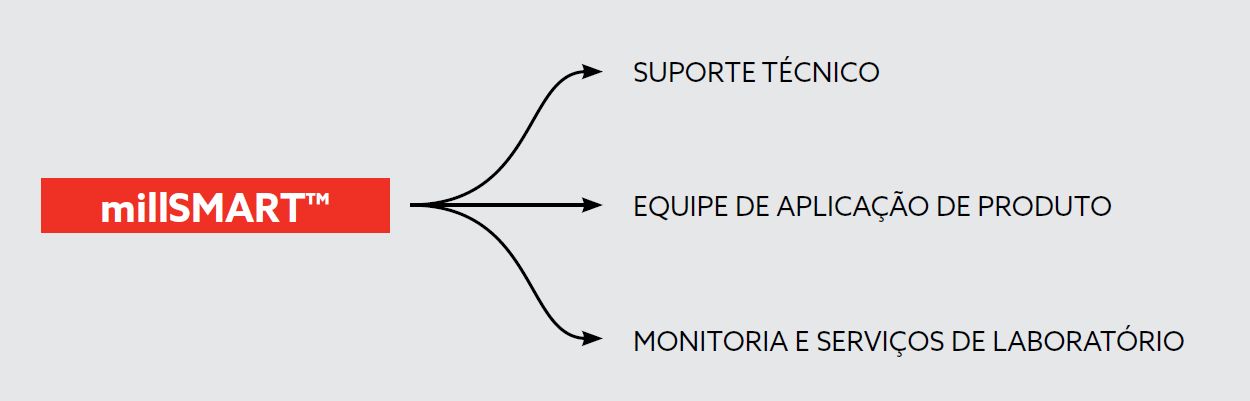 Captura de tela 2024-10-31 112705.png