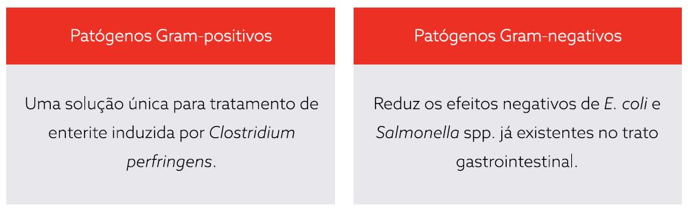 Captura de tela 2024-11-11 113102.png