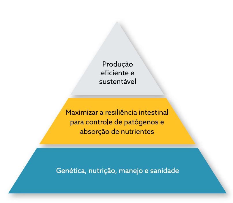 Captura de tela 2024-11-11 113127.png