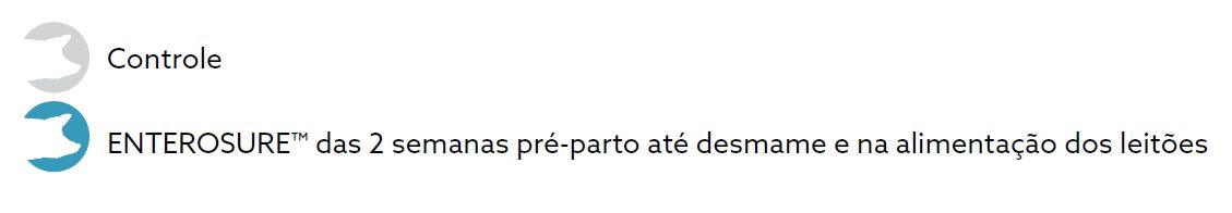 Captura de tela 2024-11-11 133738.png