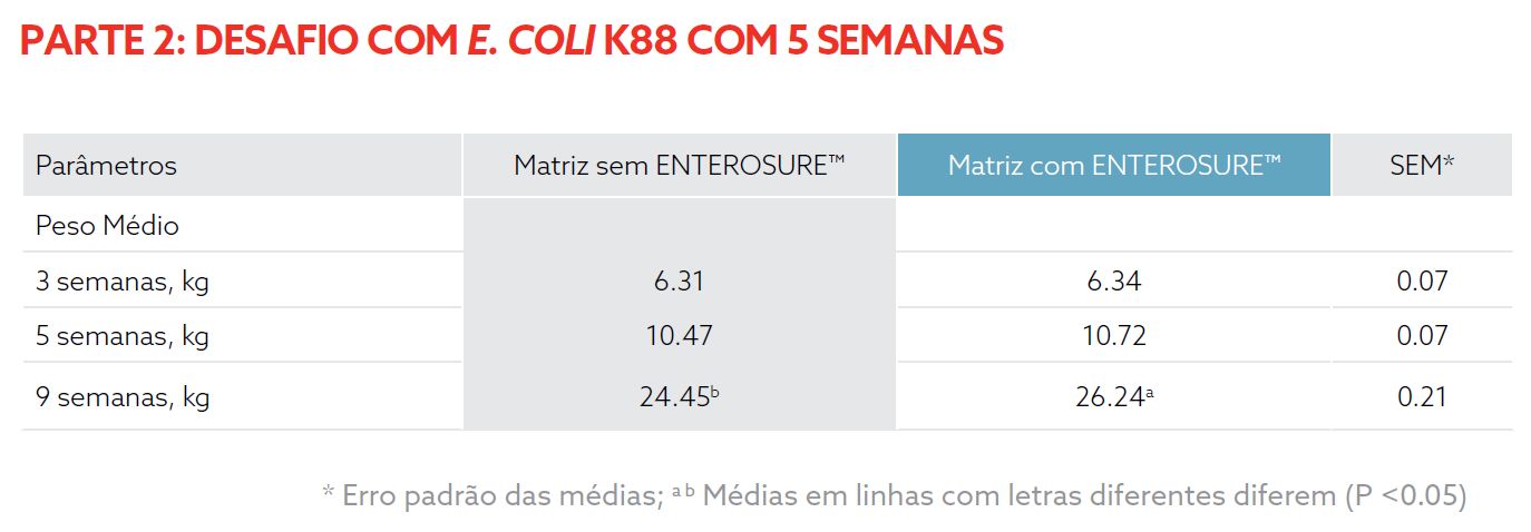 Captura de tela 2024-11-11 133820.png