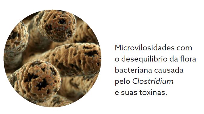 Captura de tela 2025-01-10 104935.png