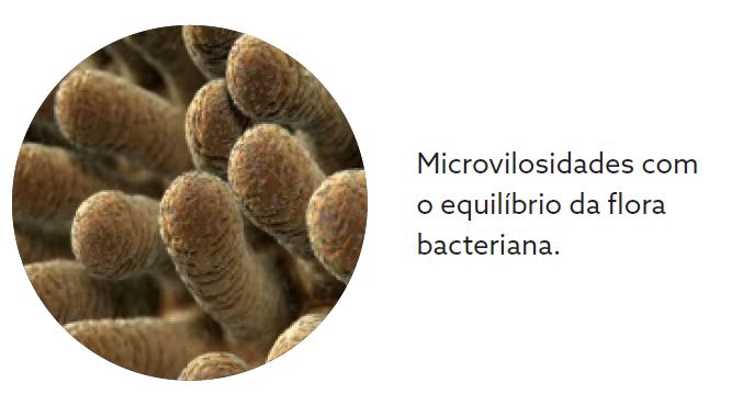 Captura de tela 2025-01-10 104951.png