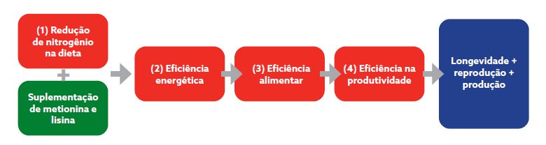 Captura de tela 2025-01-14 093609.png