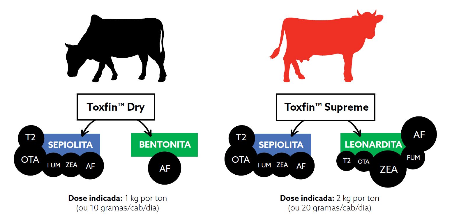Captura de tela 2025-01-15 153838.png