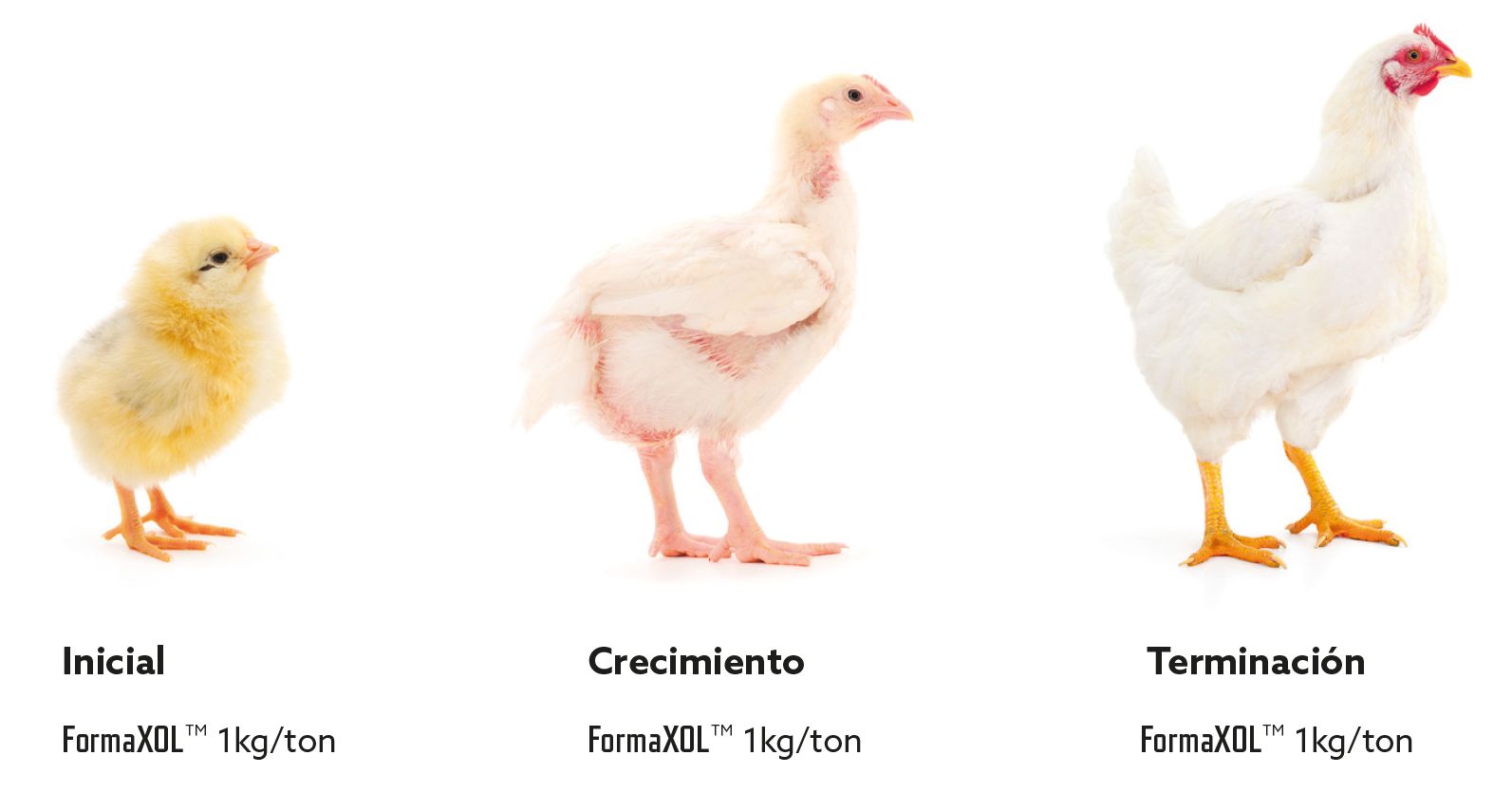 Captura de tela 2025-02-20 114753.png