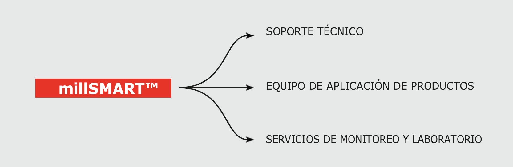 Captura de tela 2025-02-25 151446.png
