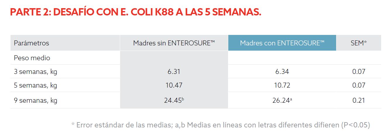Captura de tela 2025-02-26 164057.png