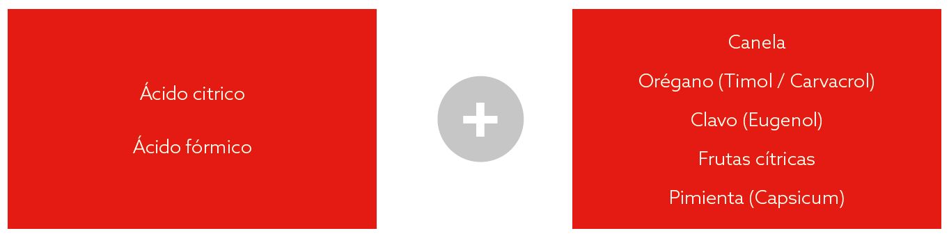 Captura de tela 2025-02-27 143215.png