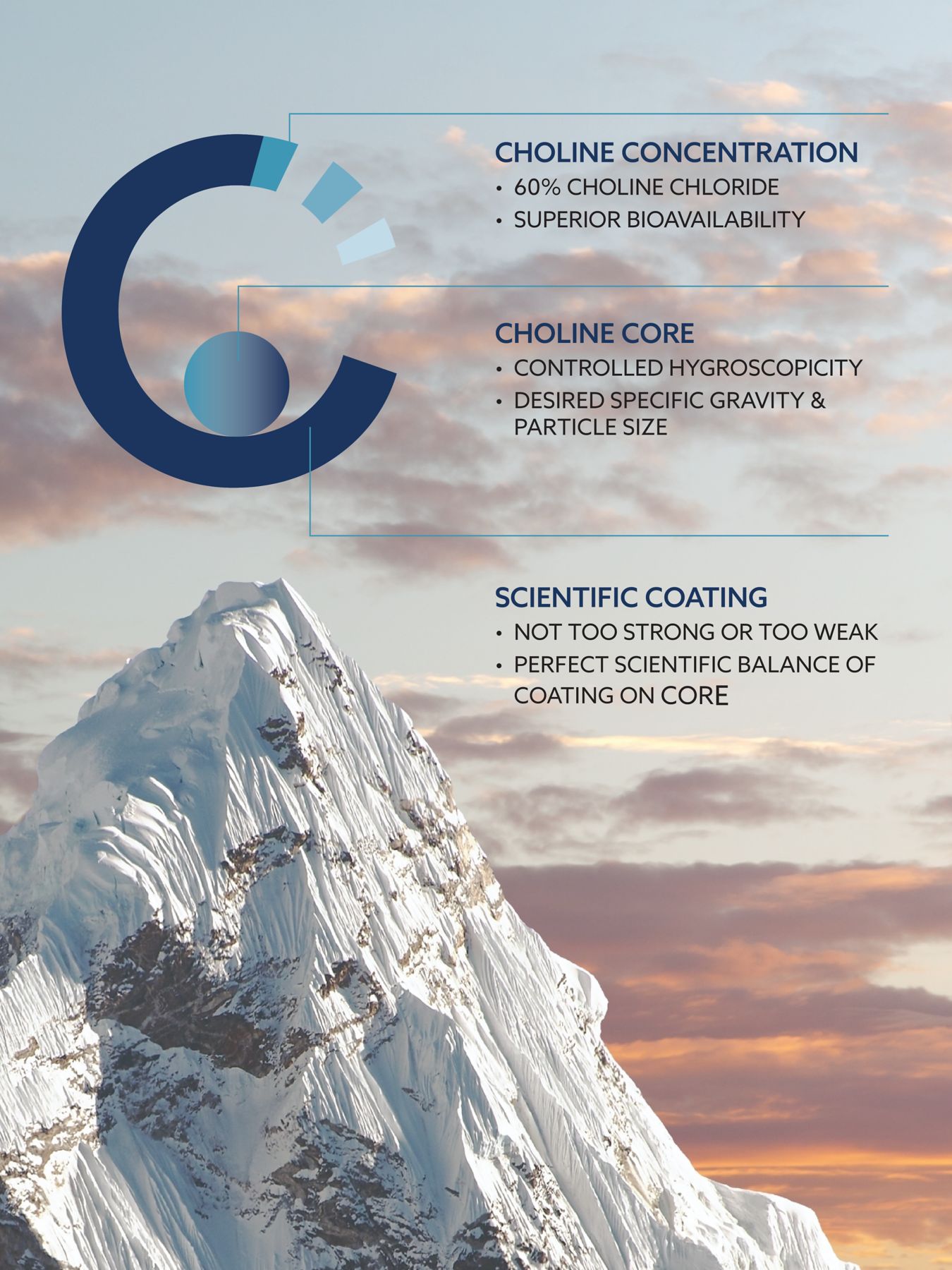 CholiGEM 3C Model (With Background)