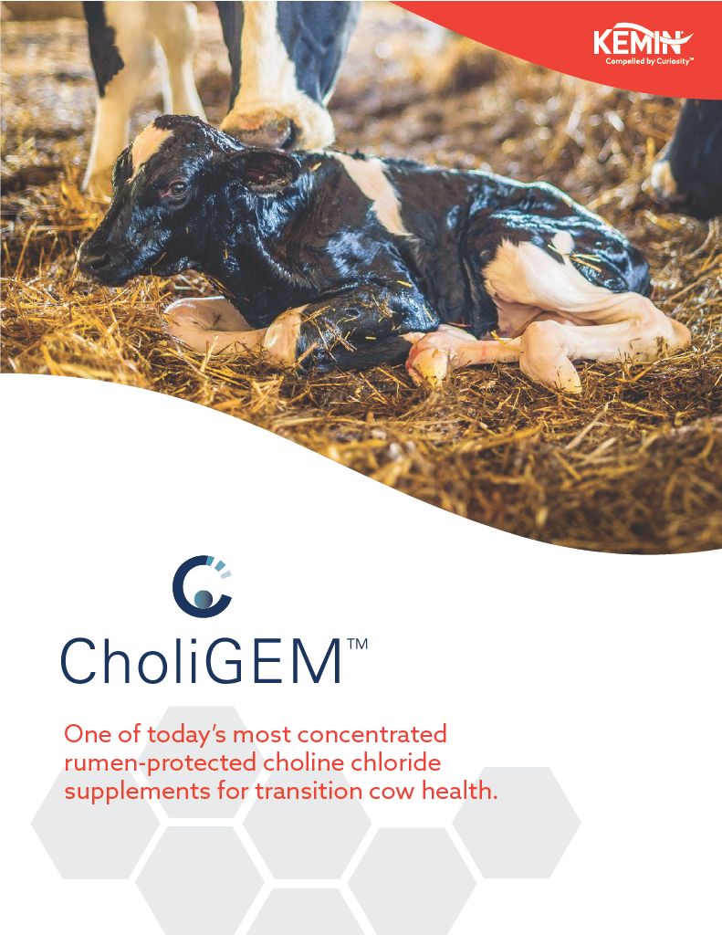 CholiGEM Product Brochure 