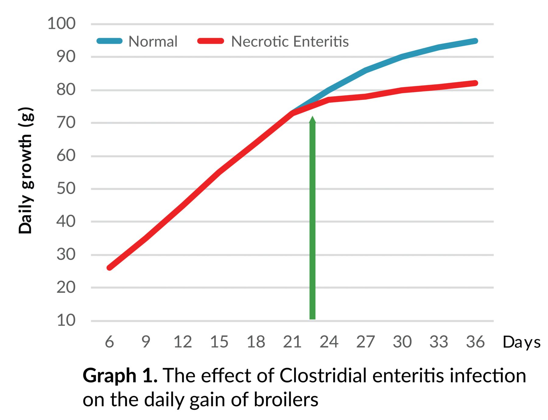 KAA CLOSTAT PRODUCT PAGE IMAGES