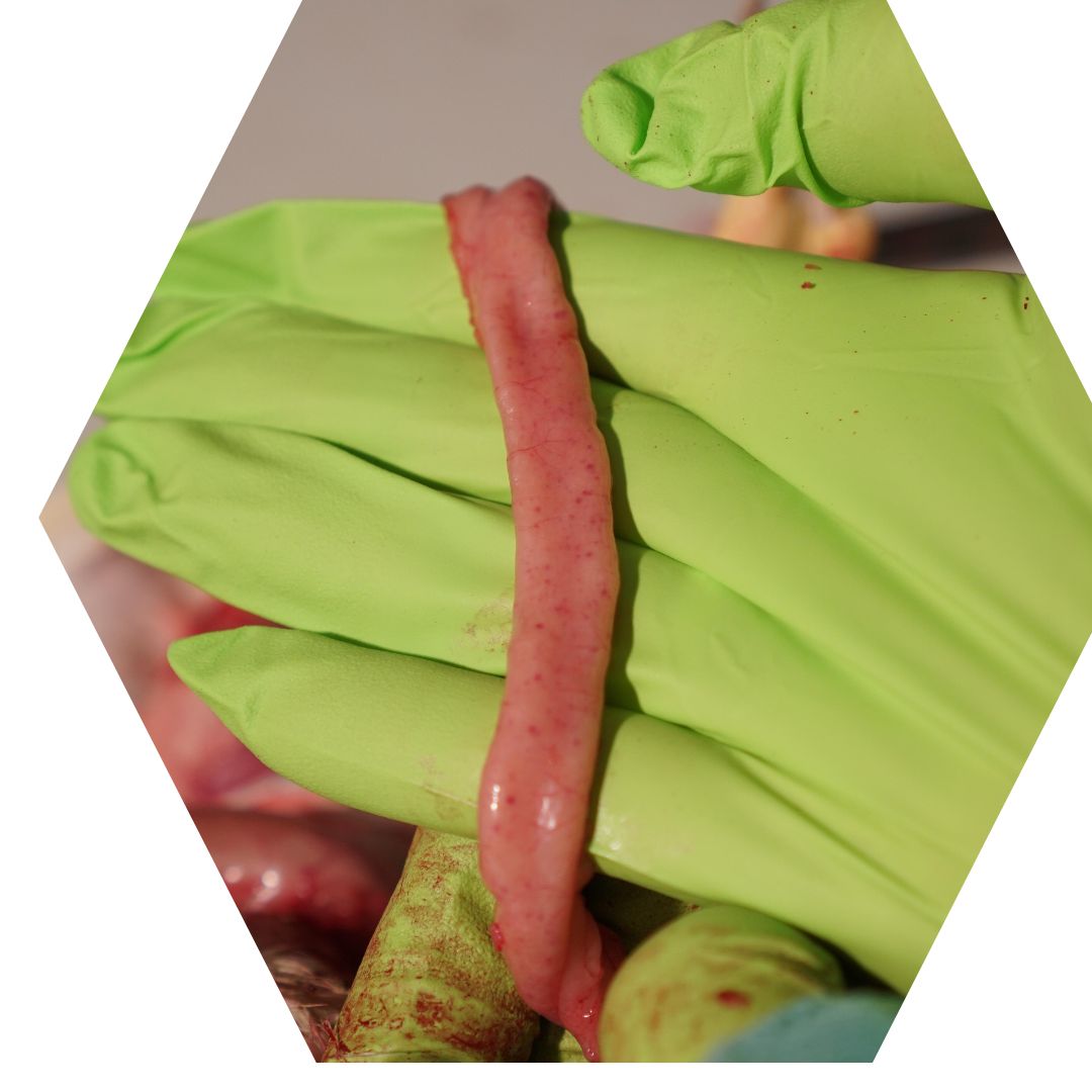 Copy of Hexagon Image Frame - 4