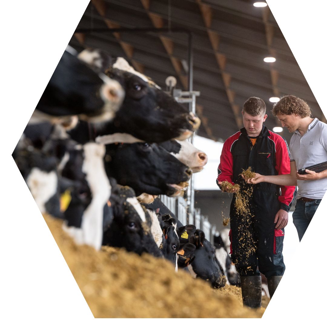 Copy of Hexagon Image Frame - 8