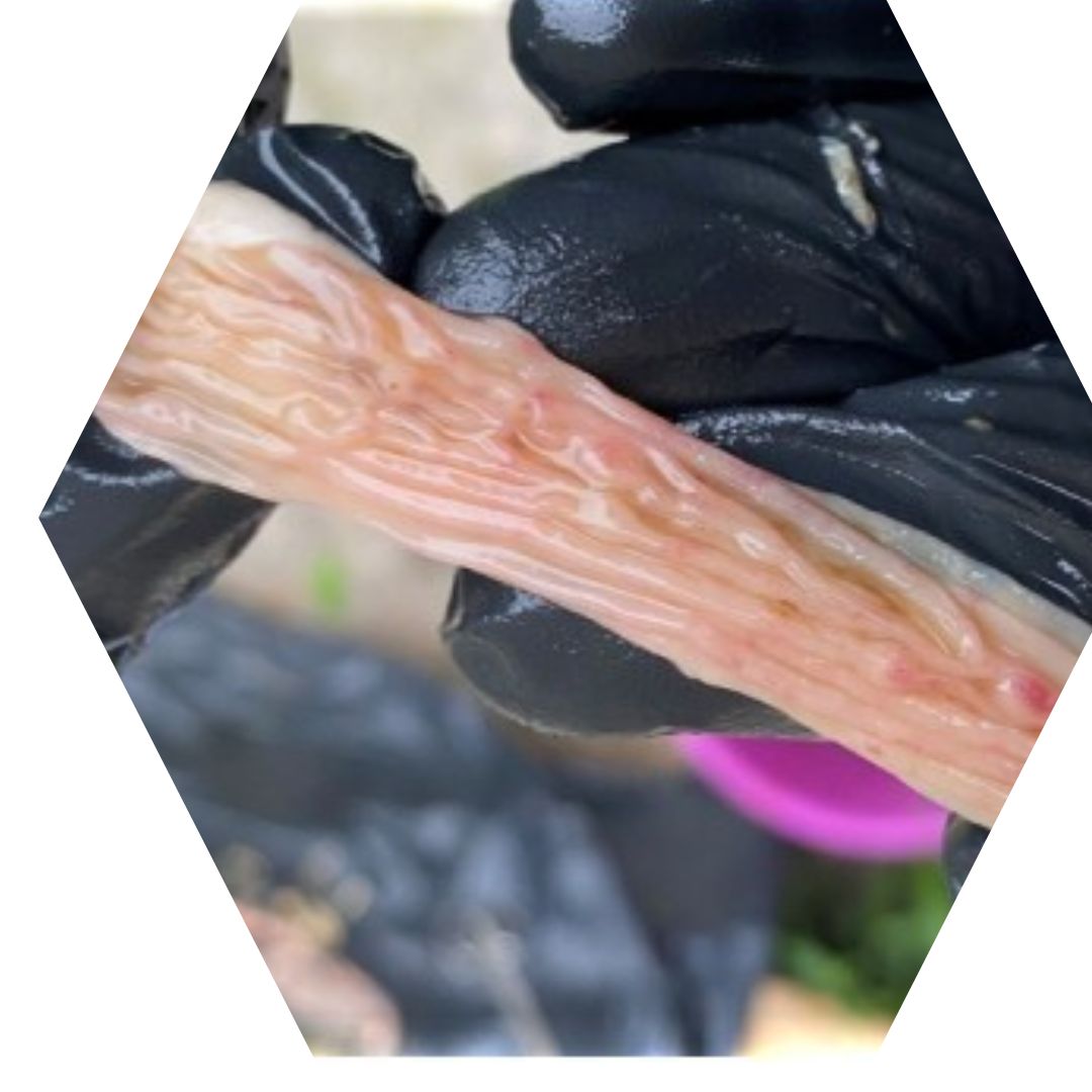 Copy of Hexagon Image Frame - 5