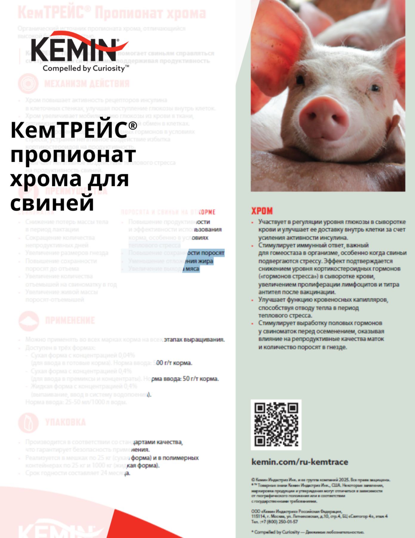 Copy of LYSOFORTE Leaflets - Maximise return on your feed through lower costs and increased efficiency (3)