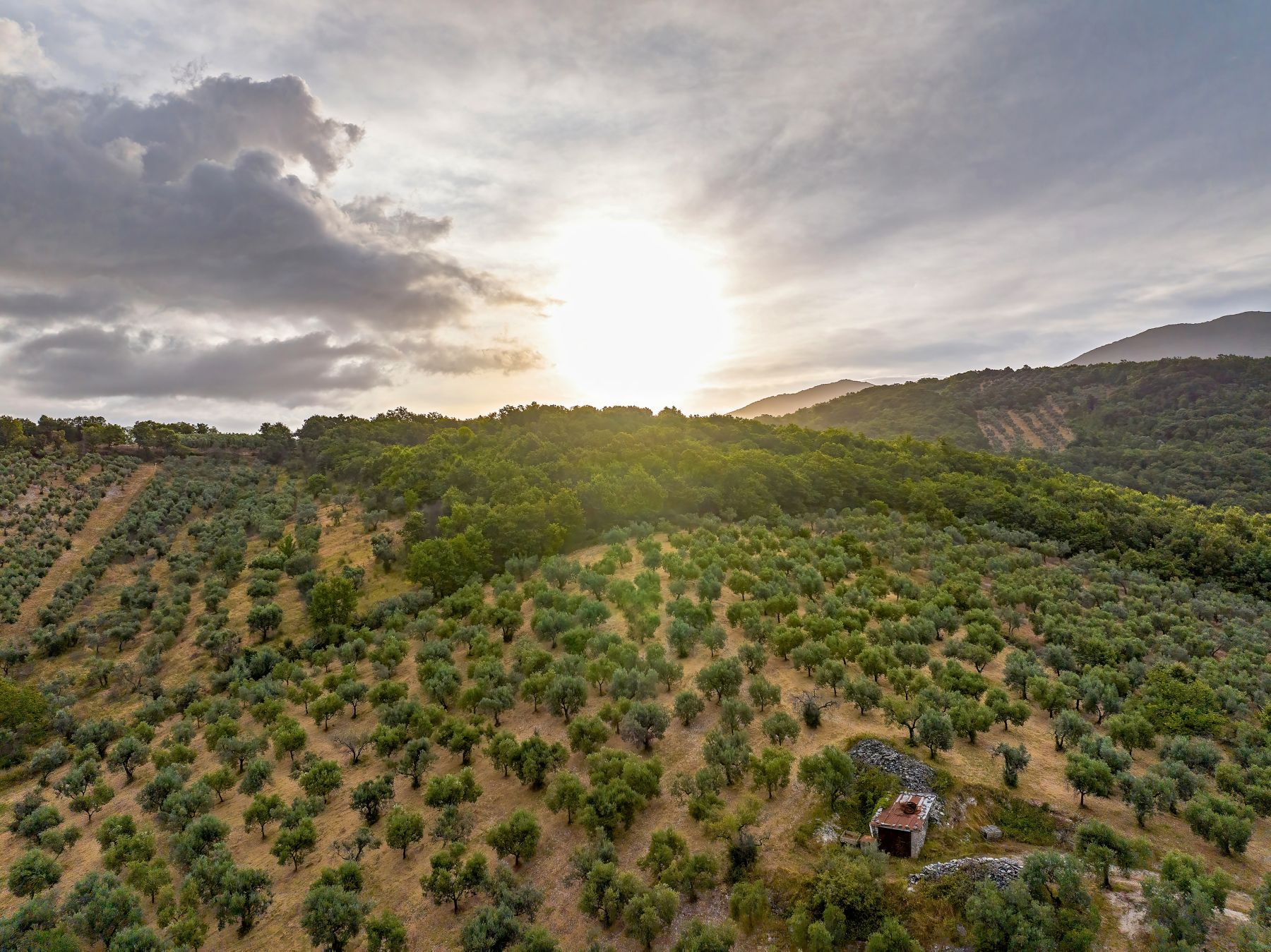 DJI_20230726000829_0074_D_Drone_CC_uhr