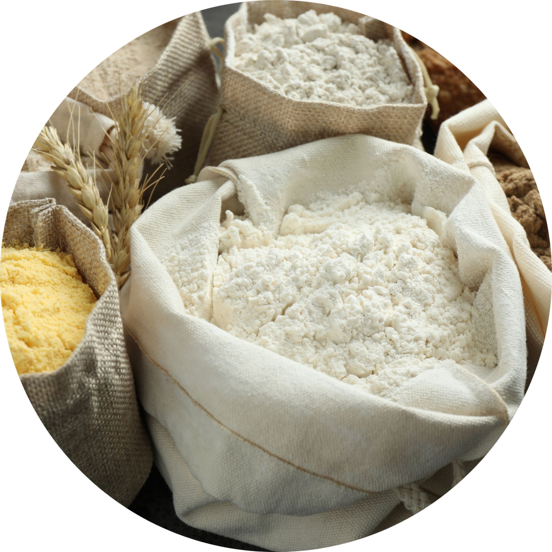 Different types of flour in bags on grey table, closeup