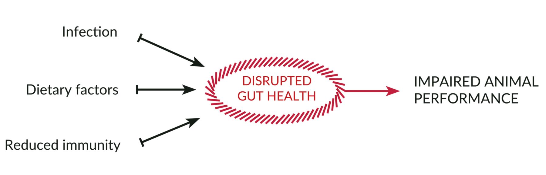 KAA CLOSTAT PRODUCT PAGE IMAGES