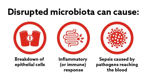Disrupted Microbiota