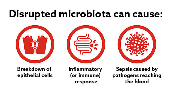 Disrupted Microbiota