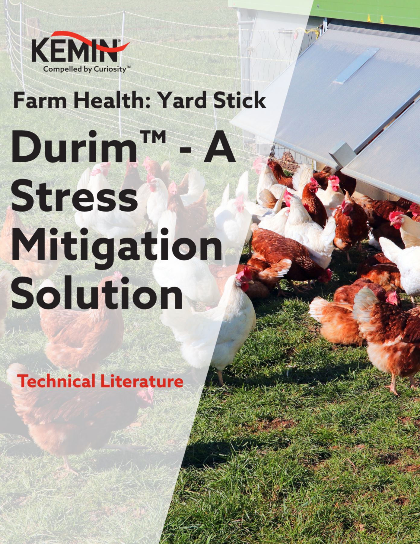 Durim - stress mitigation solution