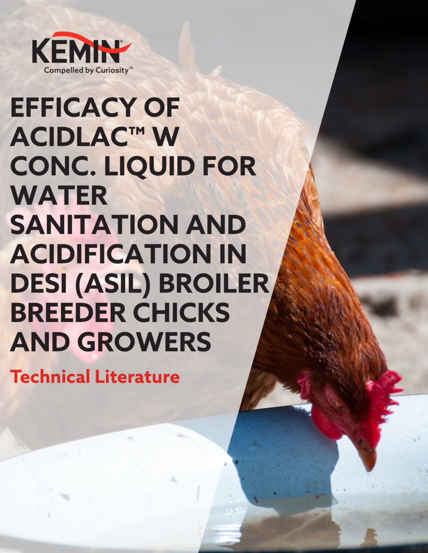 EFFICACY OF ACIDLAC™ W CONC. LIQUID FOR WATER SANITATION AND ACIDIFICATION 