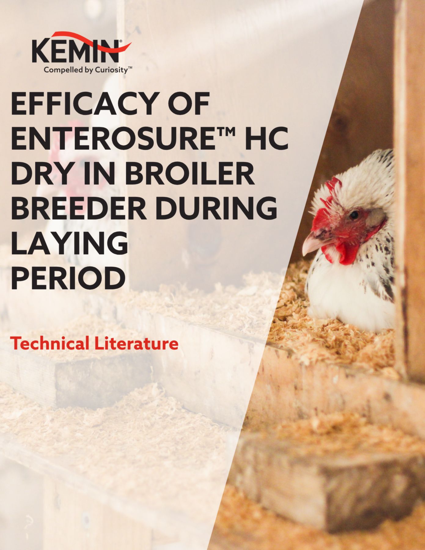 EFFICACY OF ENTEROSURE™ HC DRY IN BROILER BREEDER DURING LAYING PERIOD
