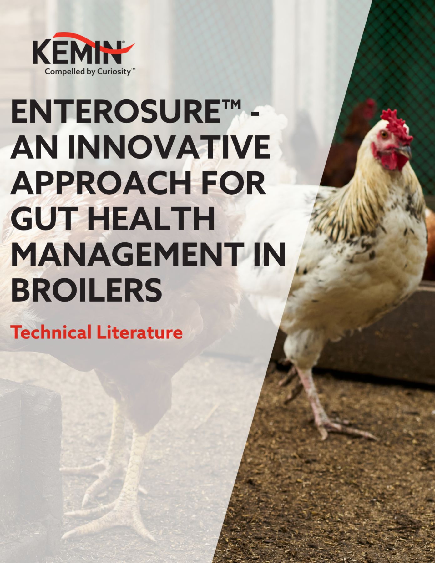 ENTEROSURE™ - AN INNOVATIVE APPROACH FOR GUT HEALTH MANAGEMENT IN BROILERS