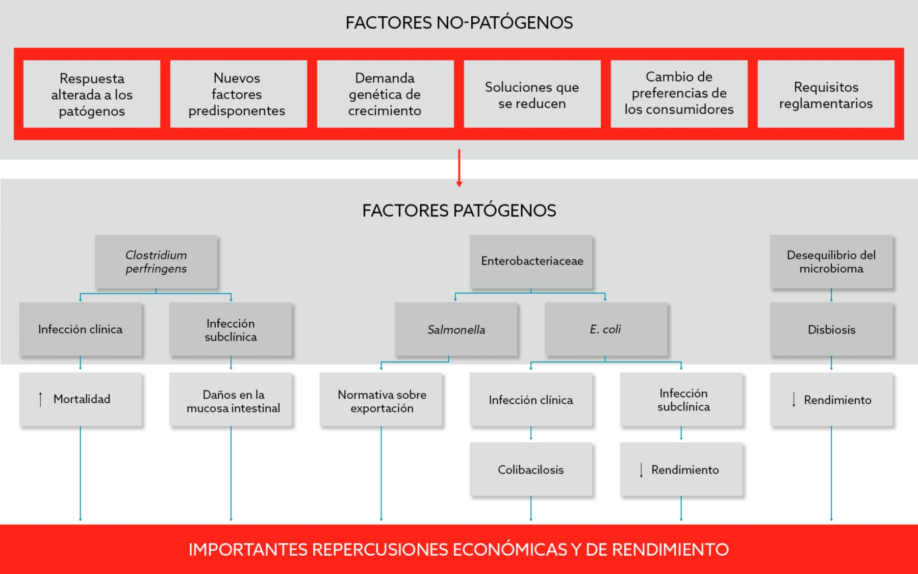 enterosure-tabela-2-ES