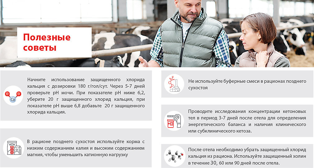Ebook_Formulating Ruminant Health RUS
