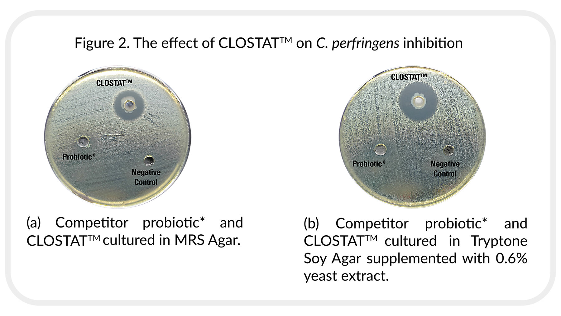 KAA CLOSTAT PRODUCT PAGE IMAGES