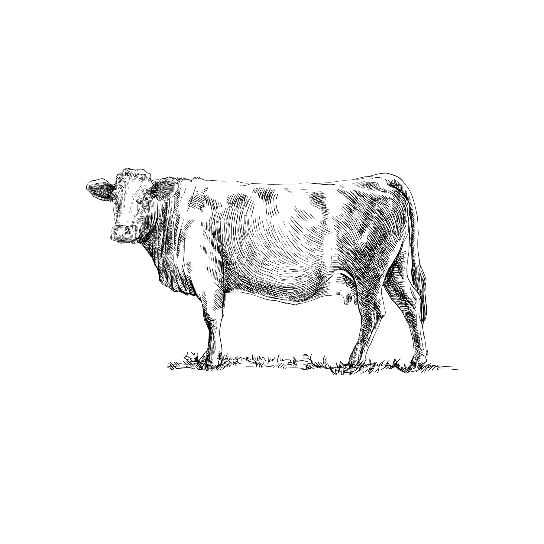Encapsulation_ruminant_shuttertock_685763842