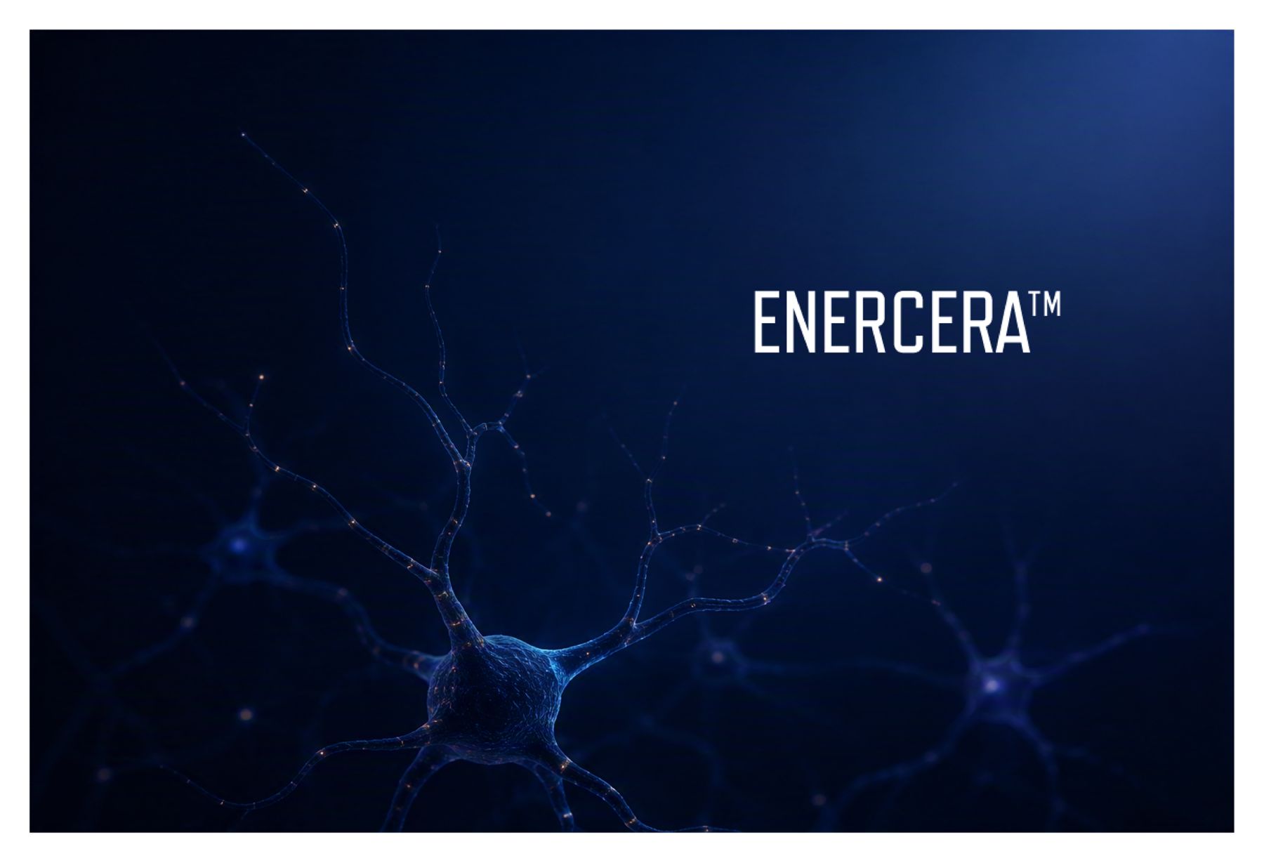 Enercera banner