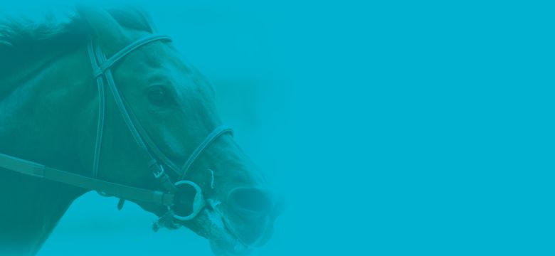 EquiSUMMIT Page Header