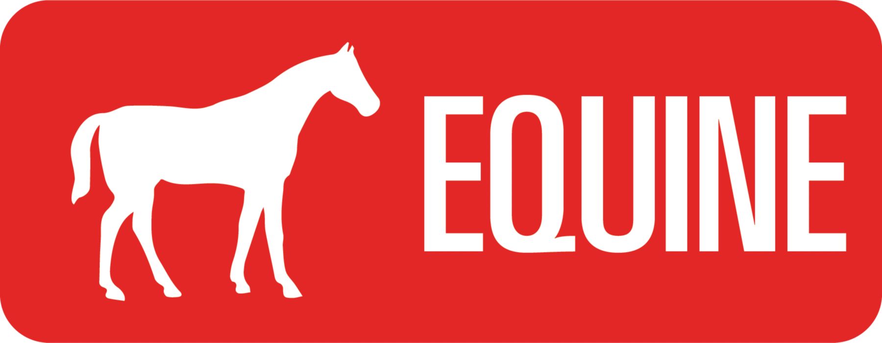 Equine Button