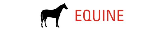 Equine Menu Icon