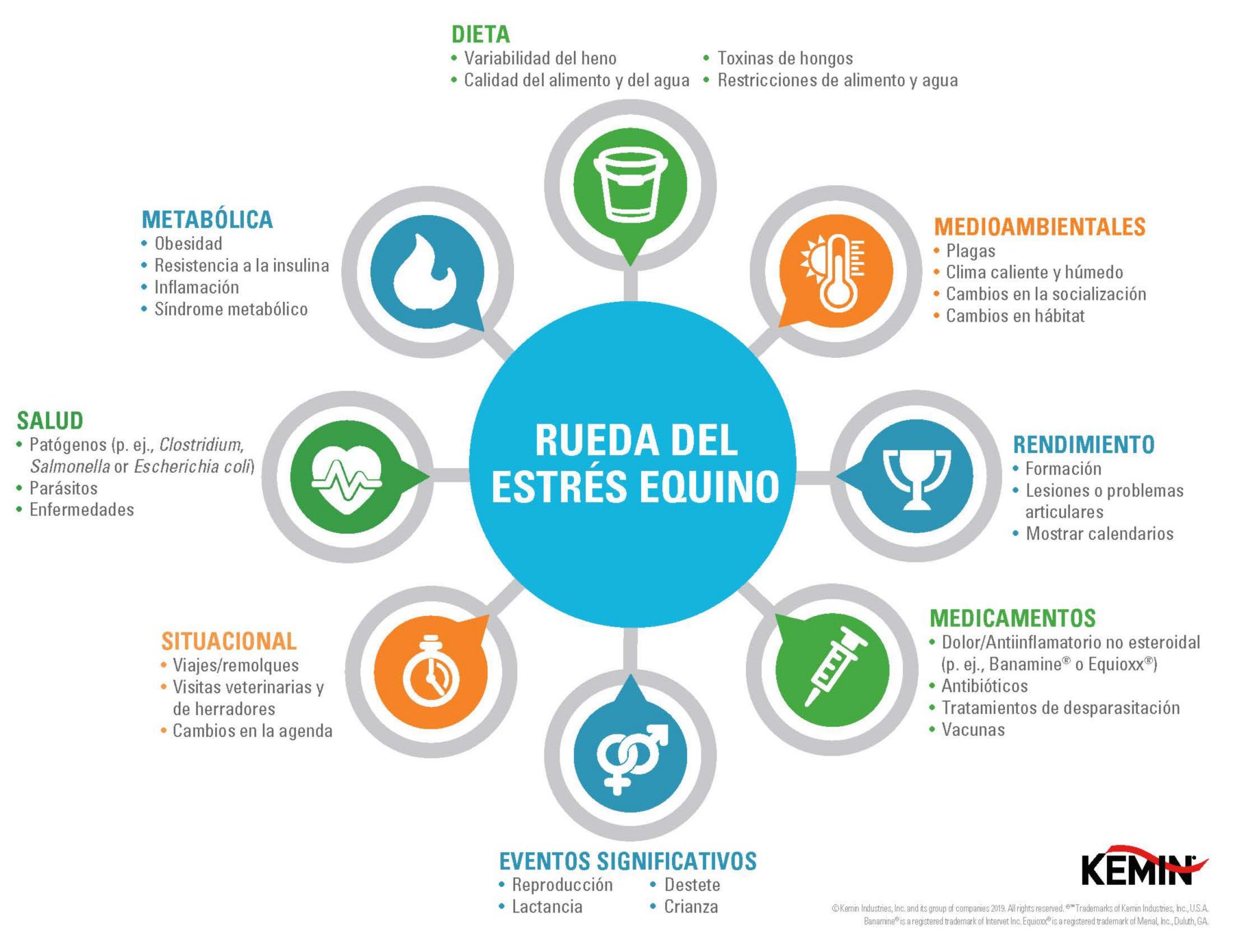 Equine Stress Wheel_MX